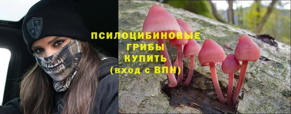 амф Алзамай