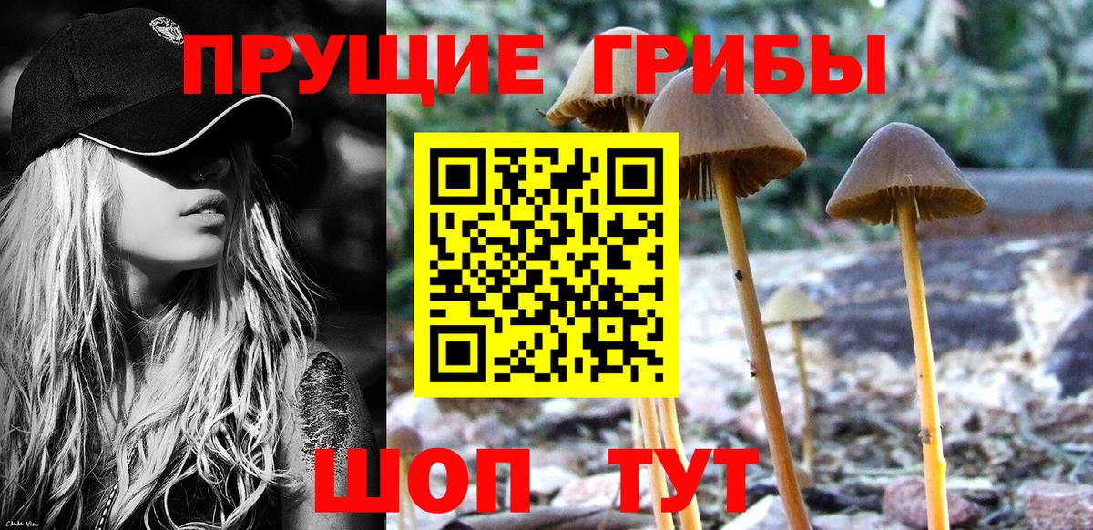 Джанкой  купить наркотик  Вход с VPN  Псилоцибиновые грибы Psilocybe 